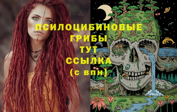 стафф Краснотурьинск