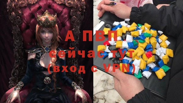 стафф Краснотурьинск